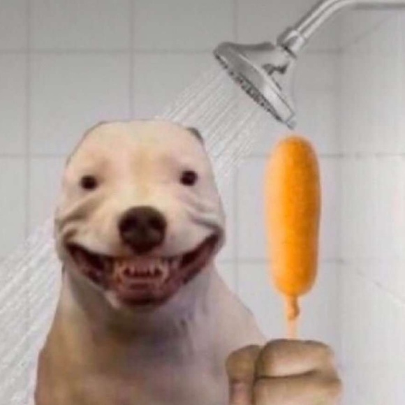 Meet your Posher, Wyatt - Picture 1 of 1